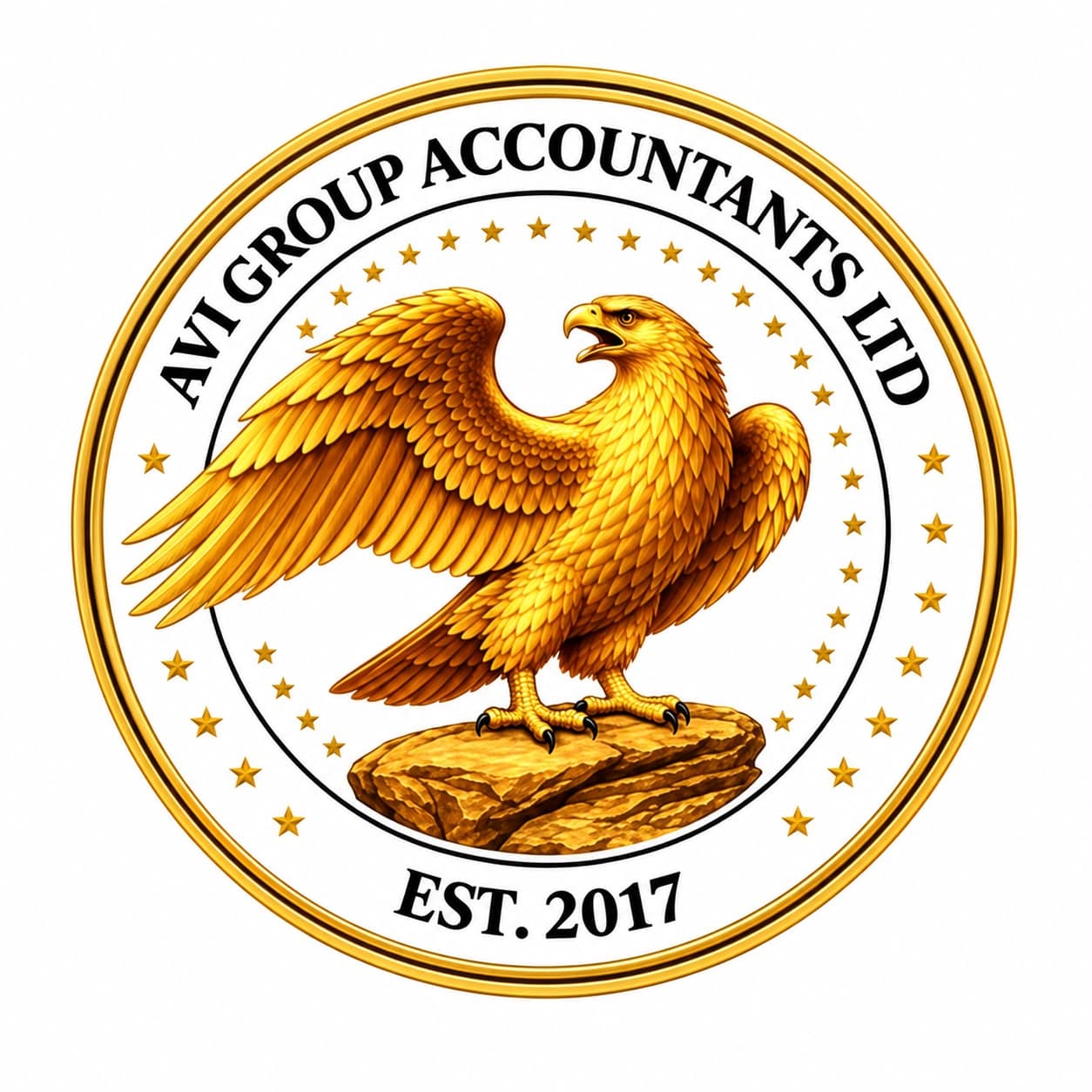 AVI Group Accountants Ltd logo
